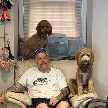 R D Doggie Doos - Pet Groomers Near Me - Mount Vernon, New York