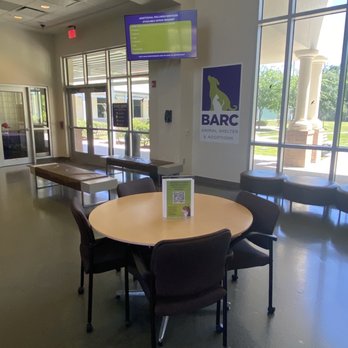 BARC ANIMAL SHELTER AND ADOPTIONS - Updated June 2025 - 109 Photos