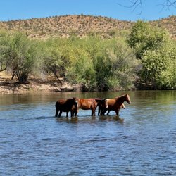 Goldfield Recreation