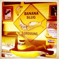 International Banana Museum