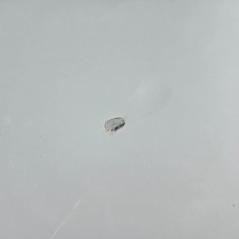 Amazing Detailing - another nick to my car paint - Auto Detailing Near Me - Alexandria, Virginia Amazing Detailing - another nick to my car paint - Auto Detailing Near Me - Alexandria, Virginia