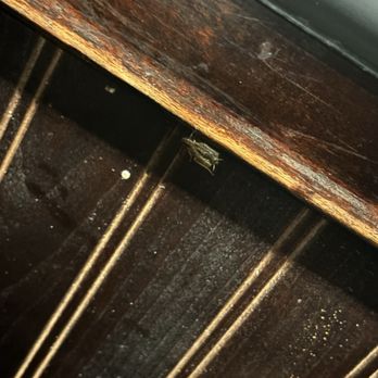 Golden Corral Buffet & Grill - Golden Corral has roaches. This was right at our table as we were eating. We left right after we saw it. - Buffets Near Me - Bellflower, California Golden Corral Buffet & Grill - Golden Corral has roaches. This was right at our table as we were eating. We left right after we saw it. - Buffets Near Me - Bellflower, California
