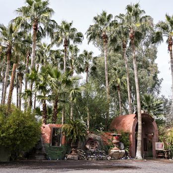 Boojum Tree Hidden Gardens - Wedding Planning Near Me - Phoenix, Arizona