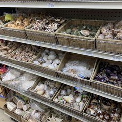 Jamaica Beach Food Store - Shells!