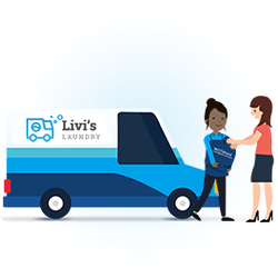 Livi's Laundry Express