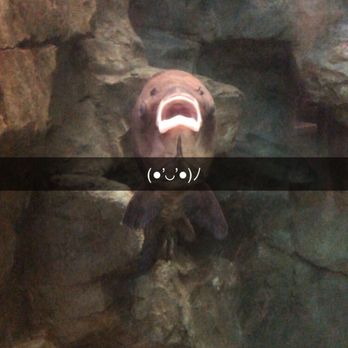Bass Pro Shops - Home Decor Near Me - Leeds, Alabama Bass Pro Shops - Home Decor Near Me - Leeds, Alabama