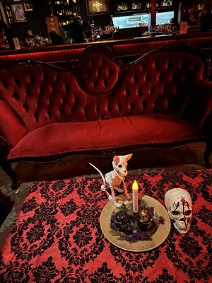 The Shady Lady Saloon by null