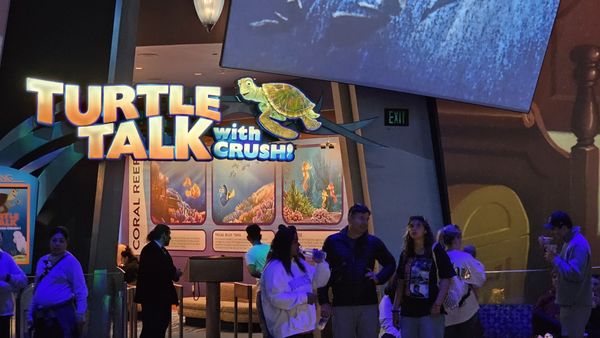 Turtle Talk with Crush by null