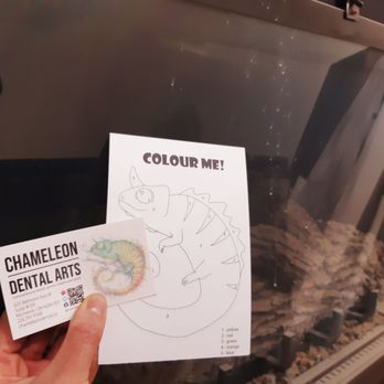 Chameleon Dental Arts - Colour Me! At the cozy fireplace. :) - Pediatric Dentists Near Me - Kitchener, Ontario Chameleon Dental Arts - Colour Me! At the cozy fireplace. :) - Pediatric Dentists Near Me - Kitchener, Ontario