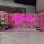 Aria's Kitchen