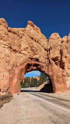 Dixie National Forest by null