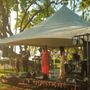 Photo of Island Kings Band