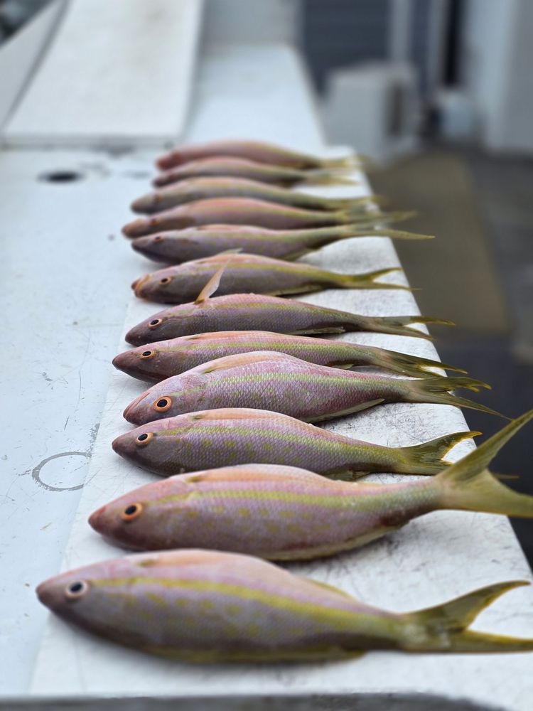 Cowboy Cowgirl SportFishing Charters