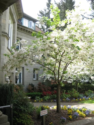 Pittock Mansion by null