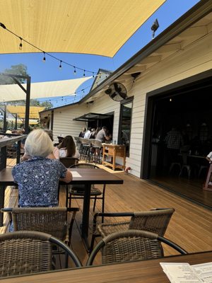 Crawdads on the Lake by null