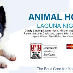 Marina Hills Animal Hospital