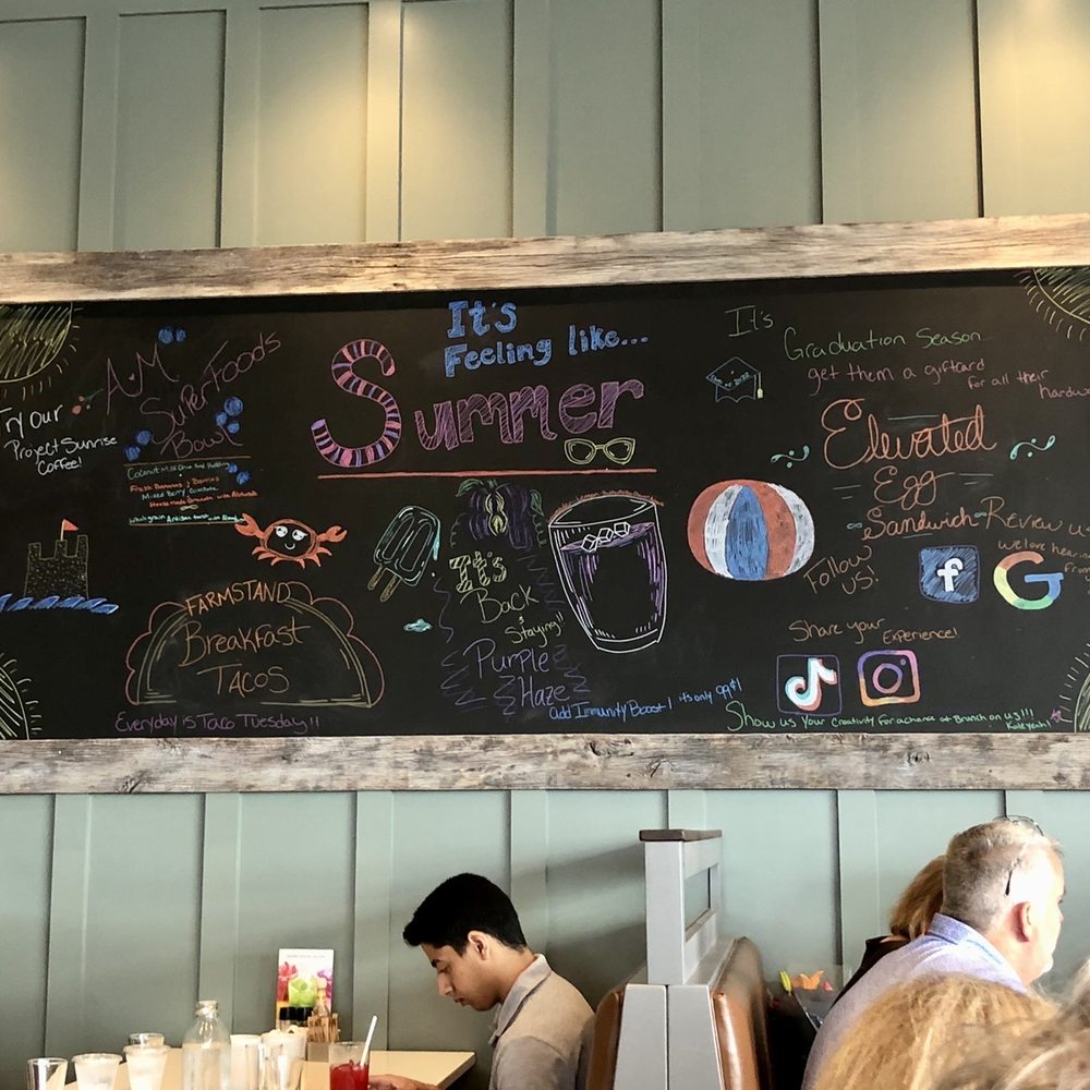 First Watch - Interior - Breakfast & Brunch Near Me - Northville, Michigan
