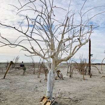 Salton Sea - Beaches Near Me - Desert Shores, California