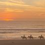 Photo of Best of Dunes