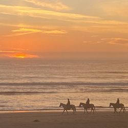 Best of Dunes - Da beach at sunst