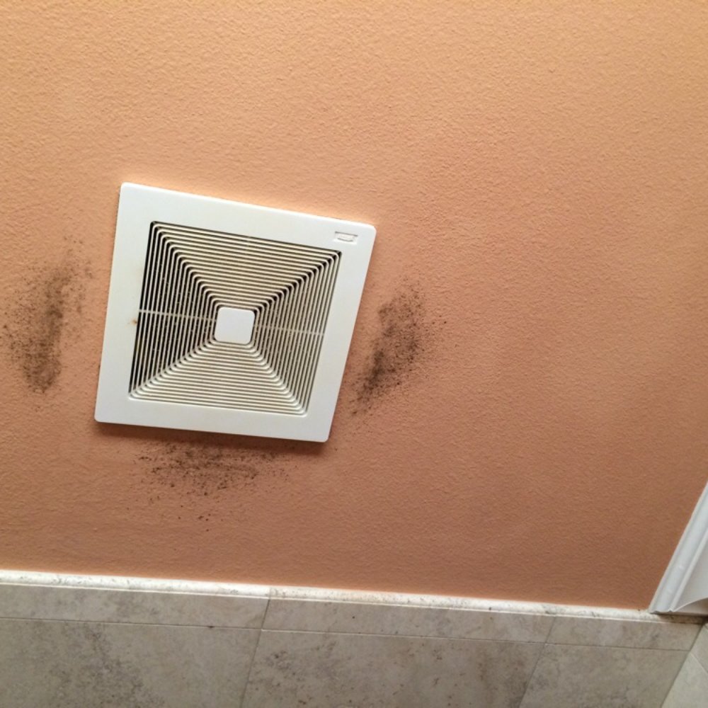 Kaiser Realty - Nice mold in the bathroom - Real Estate Services Near Me - Orange Beach, Alabama
