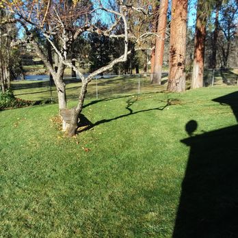 Eagle Point Lawncare & Landscape Maintenance - a tree in the yard - Lawn Services Near Me - Eagle Point, Oregon Eagle Point Lawncare & Landscape Maintenance - a tree in the yard - Lawn Services Near Me - Eagle Point, Oregon