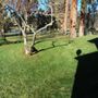 Eagle Point Lawncare & Landscape Maintenance