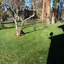 Eagle Point Lawncare & Landscape Maintenance