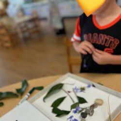 Little Investigators Preschool
