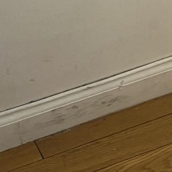 Aya - The walls had about 5 years worth of dirt on them - Property Management Near Me - New York, New York Aya - The walls had about 5 years worth of dirt on them - Property Management Near Me - New York, New York