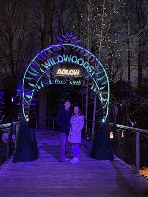 Fernbank Museum | 3D Theater | Forest by null