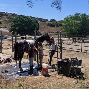 Celestial Farms - Washing down the horse during "camp". My daughter and her friend LOVED it! - Horse Boarding Near Me - Ramona, California Celestial Farms - Washing down the horse during "camp". My daughter and her friend LOVED it! - Horse Boarding Near Me - Ramona, California