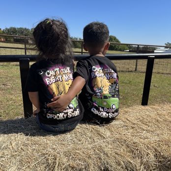 Hall's Pumpkin Farm - Hay ride experience - Pumpkin Patches Near Me - Grapevine, Texas Hall's Pumpkin Farm - Hay ride experience - Pumpkin Patches Near Me - Grapevine, Texas