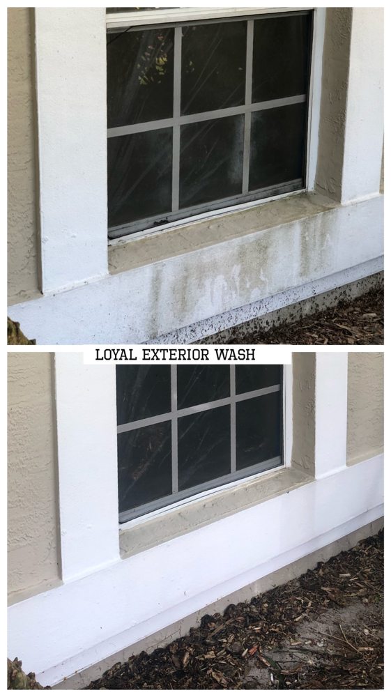 Slide of Loyal Exterior Wash