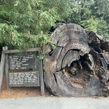 Shrine Drive Thru Tree - Landmarks & Historical Buildings Near Me - Meyers Flat, California Shrine Drive Thru Tree - Landmarks & Historical Buildings Near Me - Meyers Flat, California