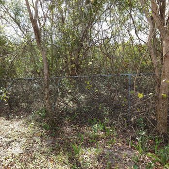 Davis Land Company - Didn't come near the fence as I requested Joel to do - Excavation Services Near Me - Kissimmee, Florida Davis Land Company - Didn't come near the fence as I requested Joel to do - Excavation Services Near Me - Kissimmee, Florida