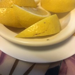 Spider on lemons Spider on lemons