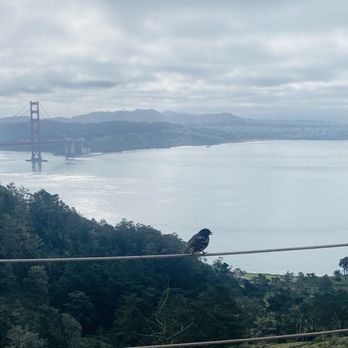 Hawk Hill - Golden gate view point with sitting benches - Hiking Near Me - San Francisco, California Hawk Hill - Golden gate view point with sitting benches - Hiking Near Me - San Francisco, California