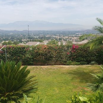 TruGreen Lawn Care - Dead Flowers - Tree Services Near Me - Irwindale, California TruGreen Lawn Care - Dead Flowers - Tree Services Near Me - Irwindale, California