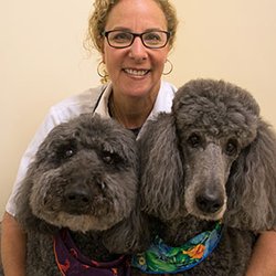 Brookeville Animal Hospital