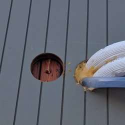 Bay Area Plumbing & Heating