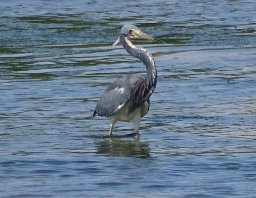 J.N. "Ding" Darling National Wildlife Refuge Visitor and Education Center by null