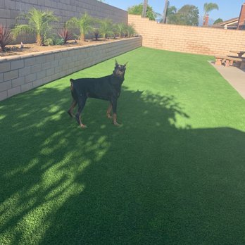 Hyperion Synthetic Turf - I can't believe it's the same back yard and same angle. - Artificial Turf Near Me