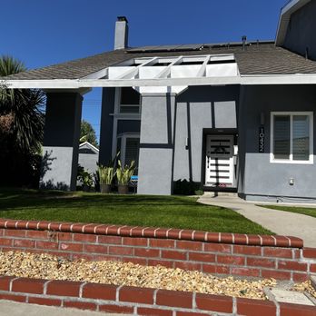 Pearloga Tree service - Palm removed - Tree Services Near Me Pearloga Tree service - Palm removed - Tree Services Near Me