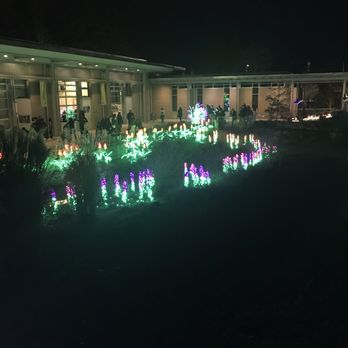 Garden D'Lights - Local Flavor Near Me - Bellevue, Washington Garden D'Lights - Local Flavor Near Me - Bellevue, Washington