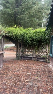 Beauregard Vineyards by null