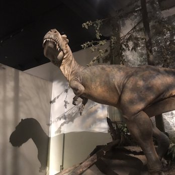 Royal Tyrrell Museum - Museums Near Me - Drumheller, Alberta