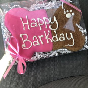 Taj Ma-Hound - Birthday treat - Pet Stores Near Me - Decatur, Georgia Taj Ma-Hound - Birthday treat - Pet Stores Near Me - Decatur, Georgia