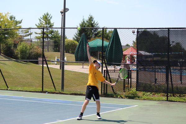 Five Seasons by null