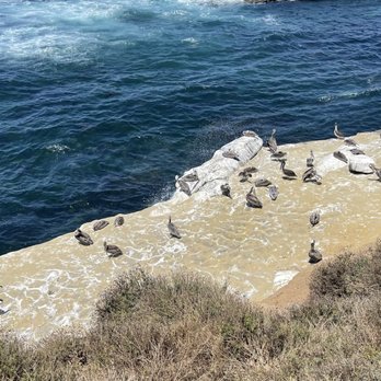 La Jolla Shores - Beaches Near Me - La Jolla, California
